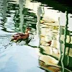 Oda ve Kahvaltı La Corte Sconta