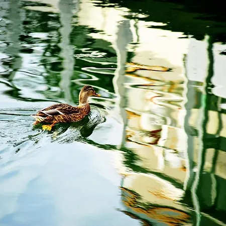 Bed & Breakfast La Corte Sconta