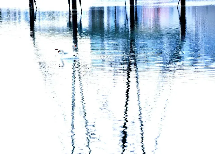 La Corte Sconta Couette-café