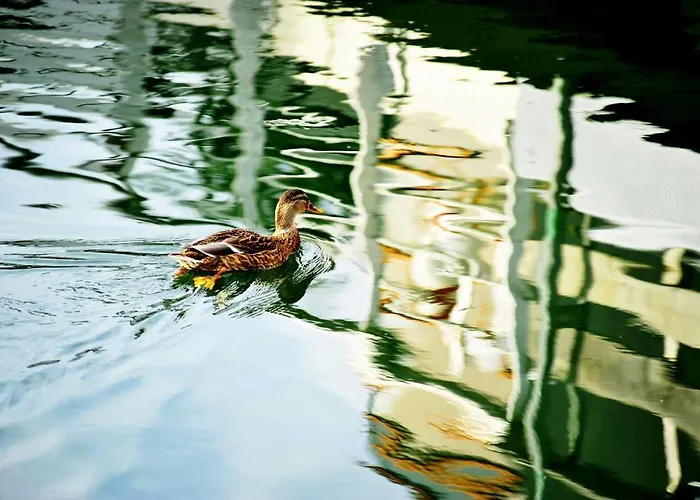 Couette-café La Corte Sconta