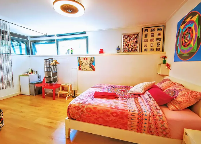 ラ コルテ スコンタ *